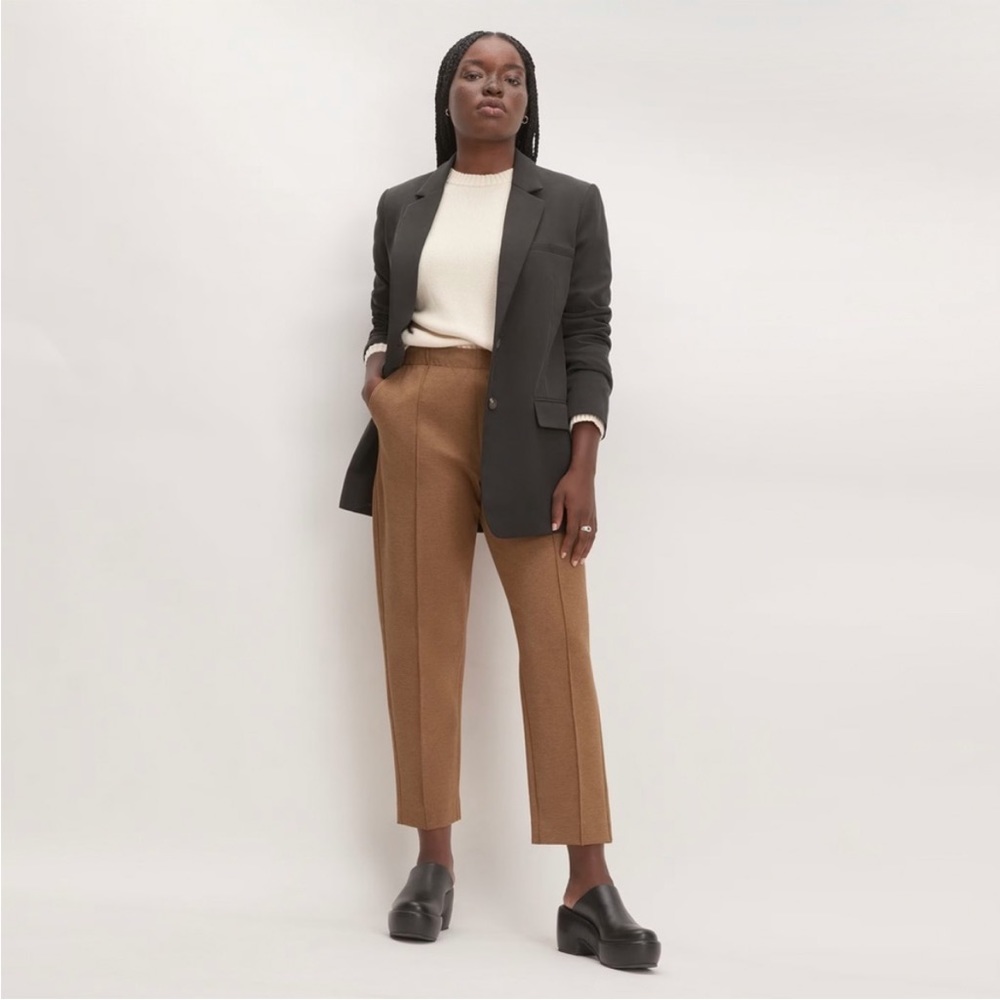 Everlane The Dream Pants Heathered Auburn